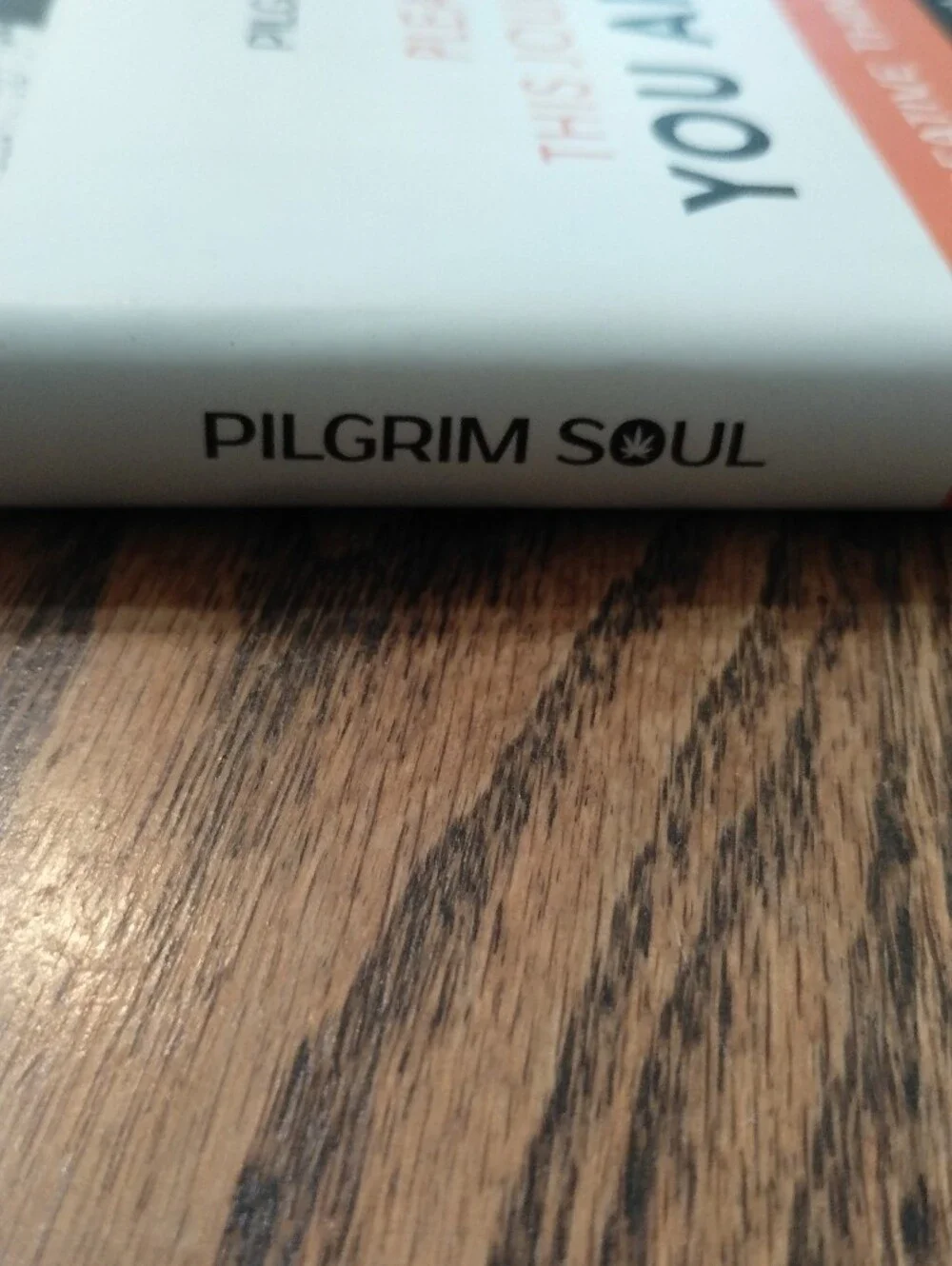 Pilgrim Creative Thinking Journal - Black, White, Orange
